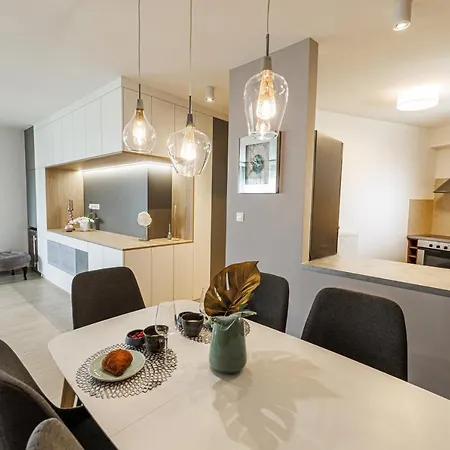 Apartment Penthouse Deluxe - Free Parking, Roof Garden *