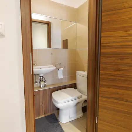 Penthouse Deluxe - Free Parking, Roof Garden Budapest